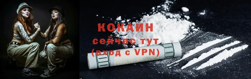 Cocaine FishScale  Нелидово 